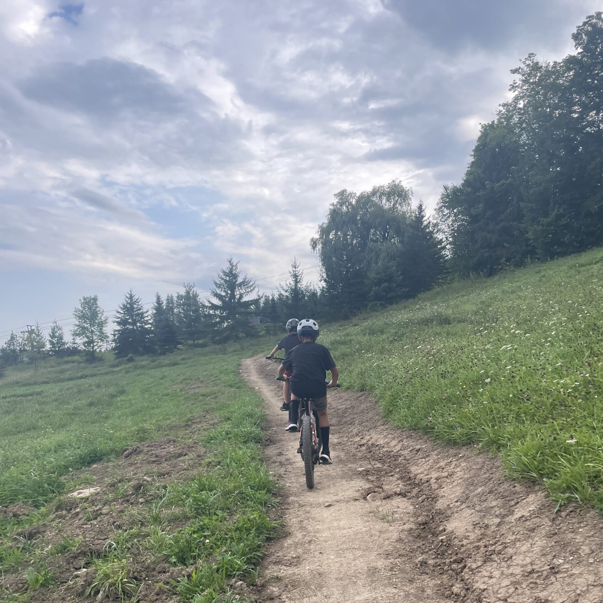 Mountain bikers riding up climb trail